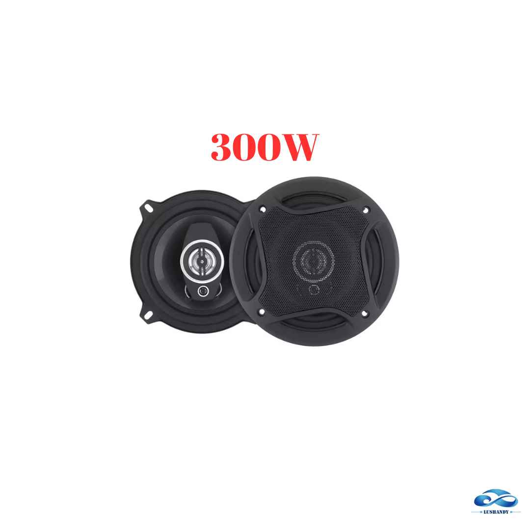 Parlante Para Auto 300W 13Cm