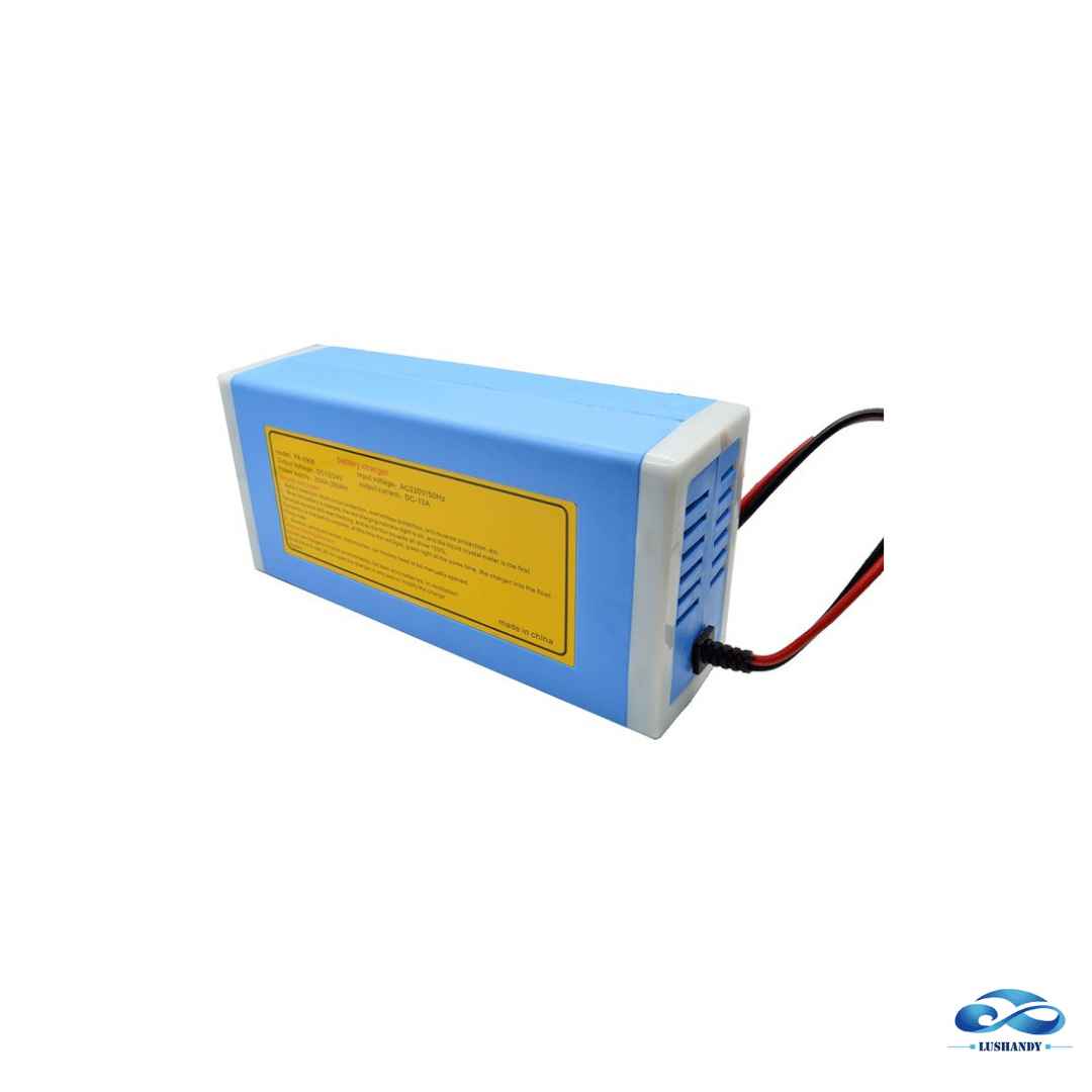 Cargador De Batería 100Amp 12-24V Cargador De Batería 100Amp 12-24V